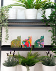 ‘Arty Cats’ Cards