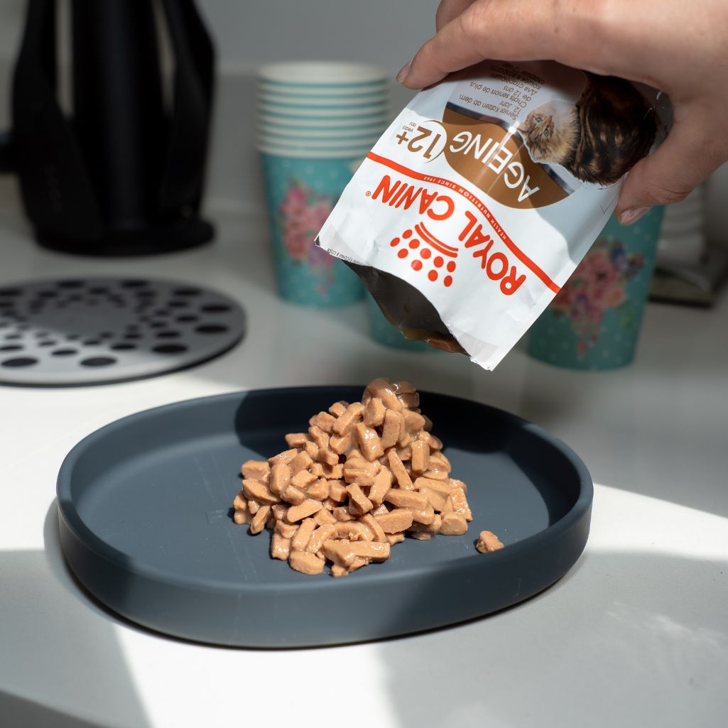 Person pouring Royal Canin cat food into a blue bowl with a kitchen background.
