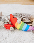 Cat Playing with rainbow shrimp toy on carpet