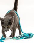 British Blue cat with blue felt cat toy octopus draped over it
