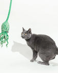 Green felt octopus cat toy with a blue shorthaired cat about to pounce
