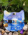 Cat collar with Van Gogh-themed packaging on a natural background