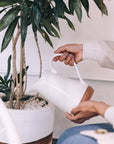 Close up of a lady watering a plant