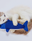 Cat playing with a blue fish-shaped catnip toy on a white background