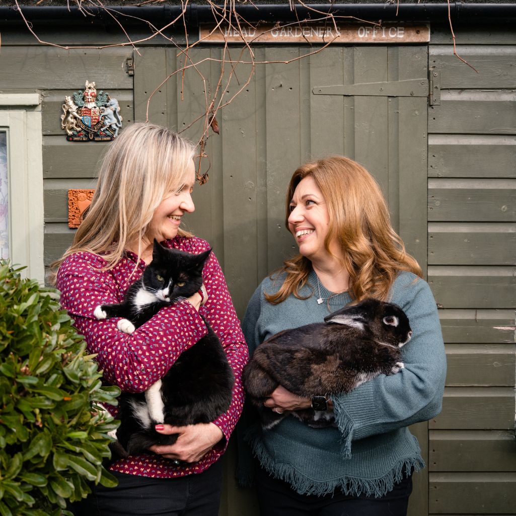 How Cambridge Cat Sitting Works: A Step-by-Step Guide