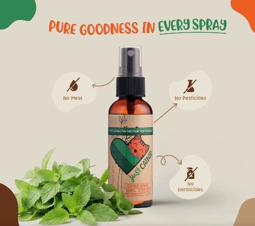 CatNip spray for cats