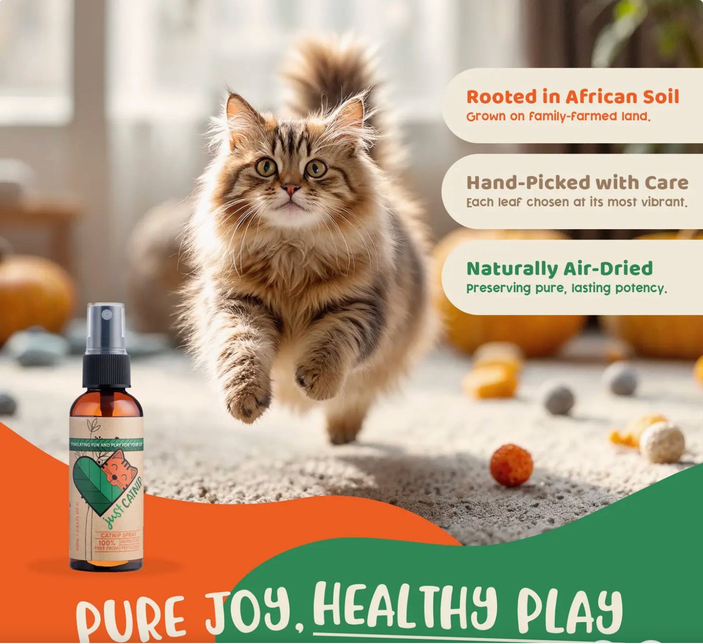 CatNip spray for cats