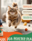 CatNip spray for cats
