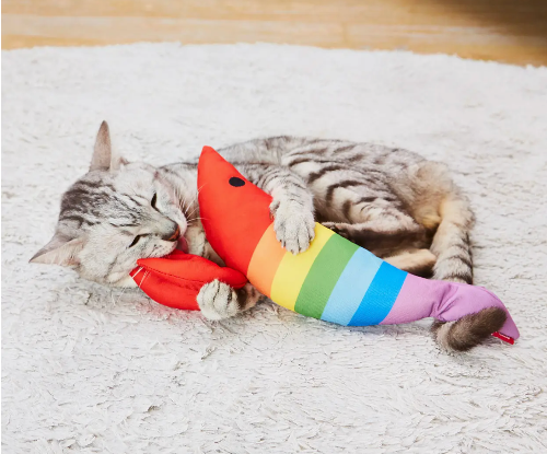 Cat Playing with rainbow shrimp toy on carpet