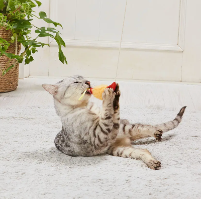 Cat playing with a toy on a light-colored floor.