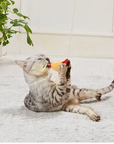 Cat playing with a toy on a light-colored floor.