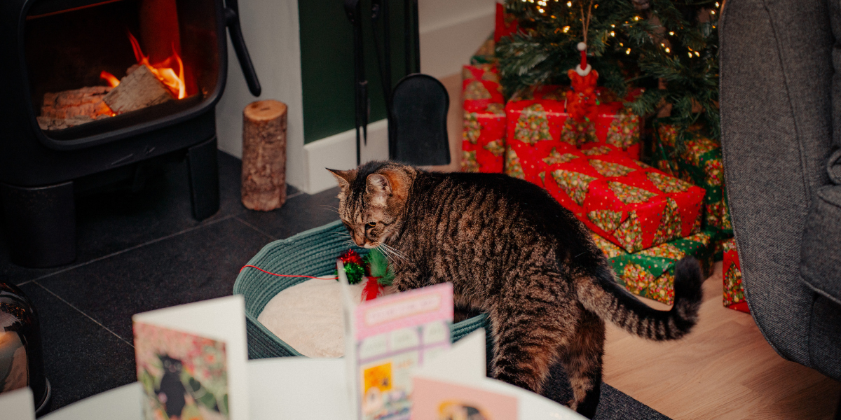 cat getting in a basket with a firplace and christmas tree and presents in the background