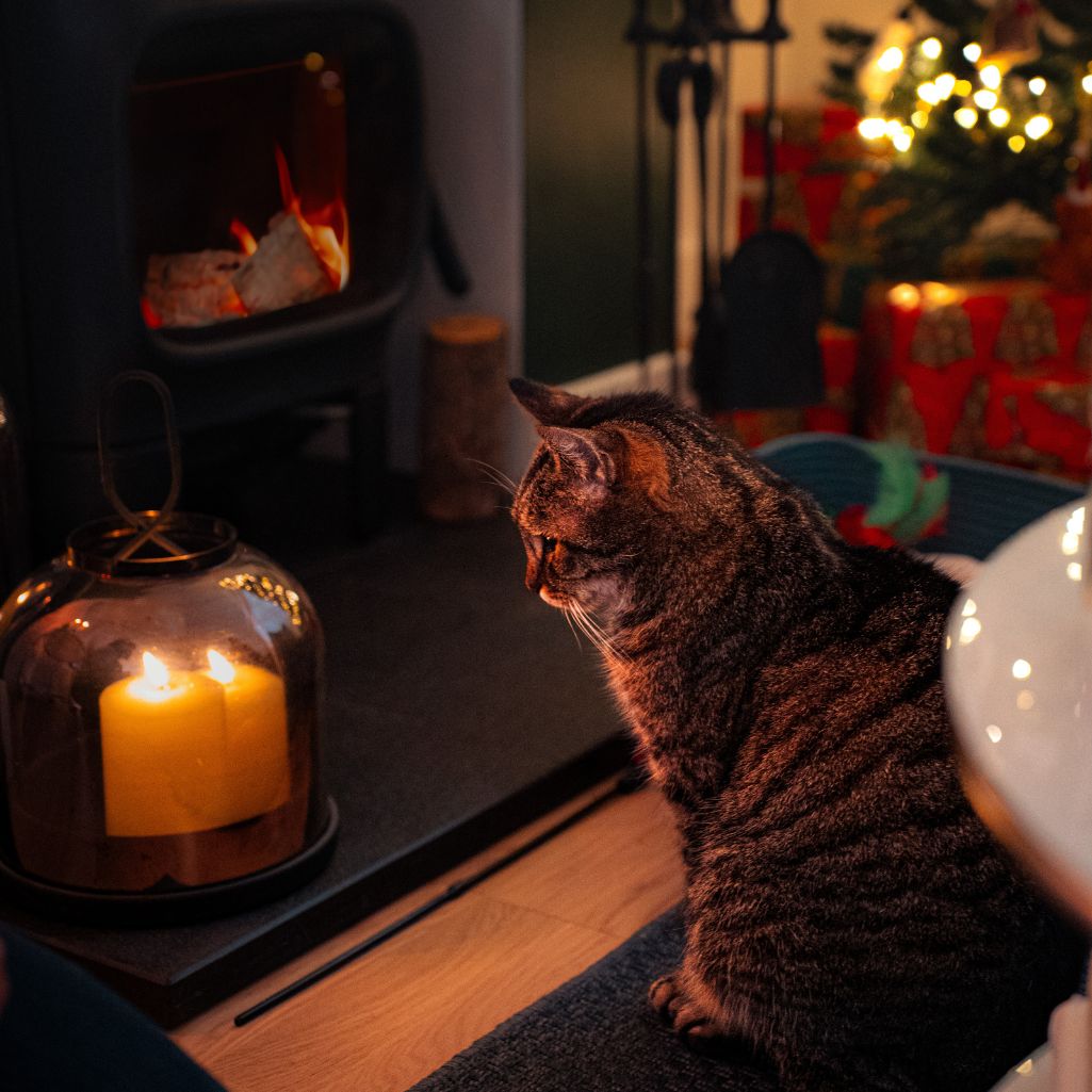 cat sitting in front of a fireplace and candles with a christmas tree and presents in the background