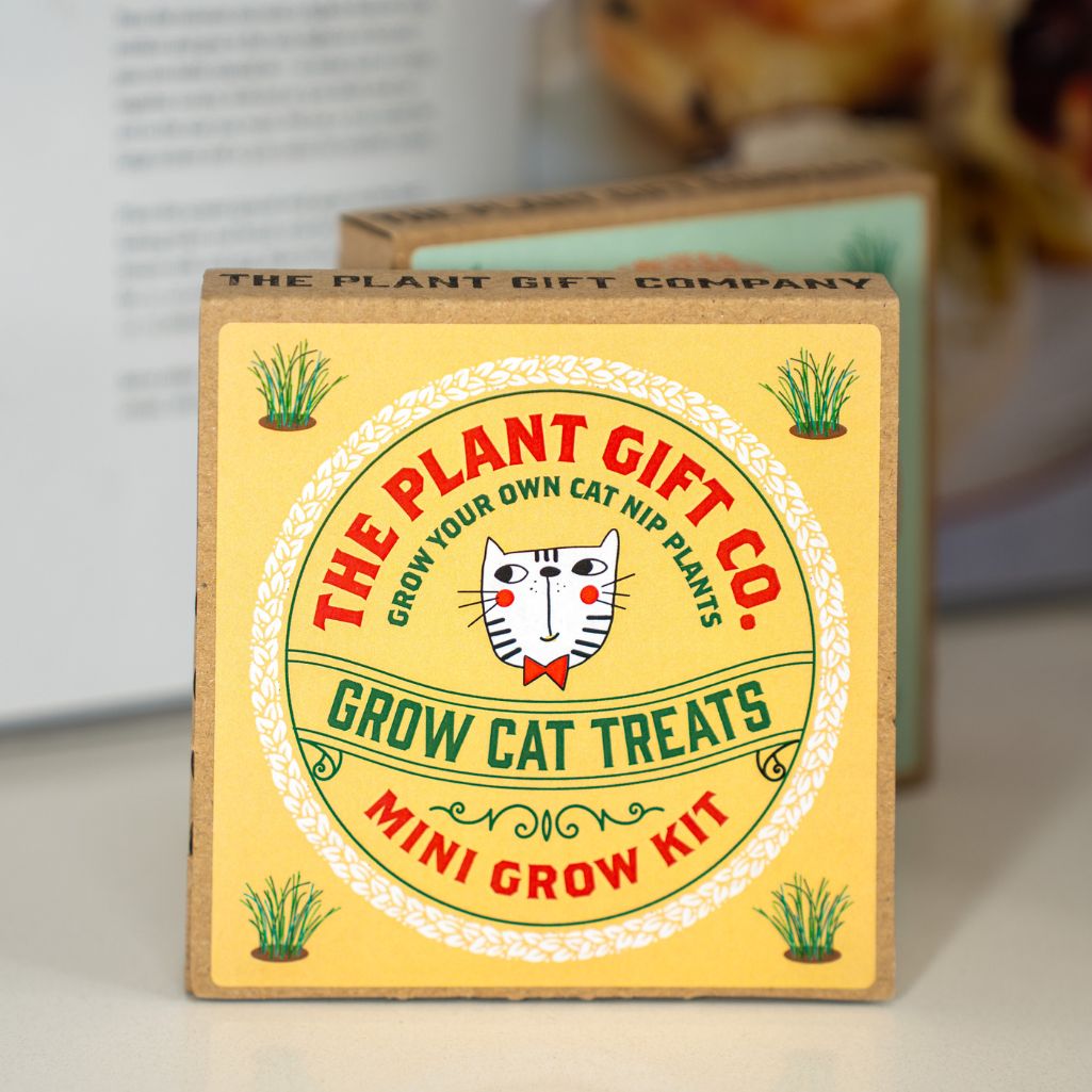 Cat Grass &amp; Catnip Grow Kits
