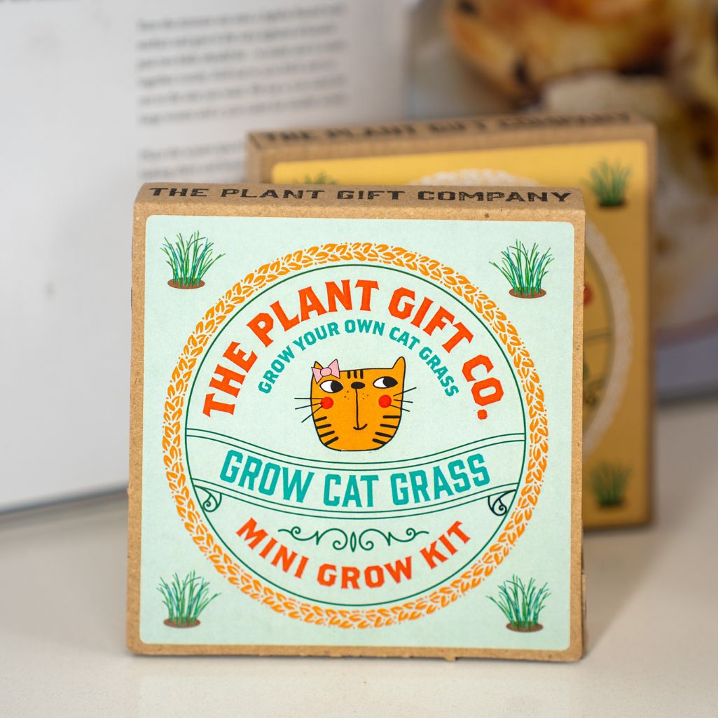 Cat Grass &amp; Catnip Grow Kits
