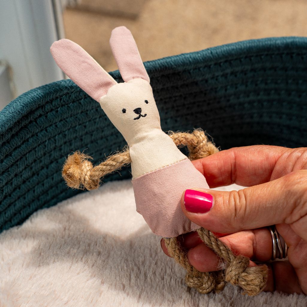Bunny Shaped Catnip Filled Toy