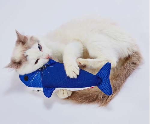 Cat playing with a blue fish-shaped catnip toy on a white background