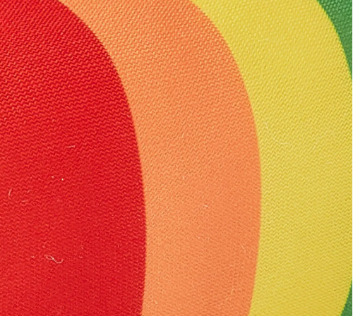 close up rainbow shrimp cat toy